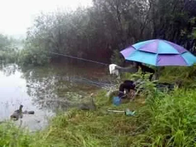 충남공주시 행복낚시터