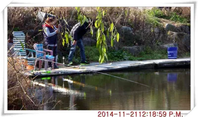 충남 아산 월선낚시터 11월 21일자 조황정보