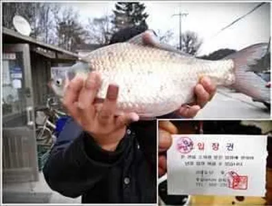 [각평지] 3월 3일 조황 정보 (토요일 4짜 올리다)