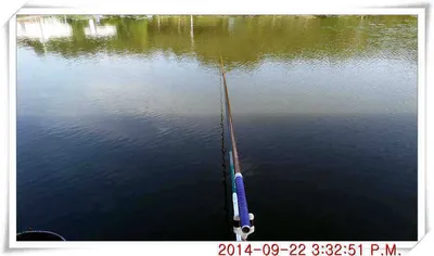 충남 아산 월선낚시터 9월 22일자 조황정보