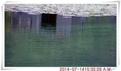 충남 아산 월선낚시터 7월 14일자 조황정보