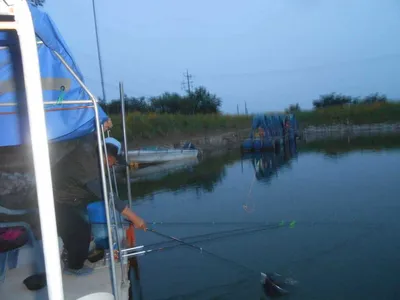 ^^조황소식&수상좌대이벤트^^