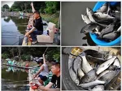 [각평지] 6월 넷째주말 조황정보