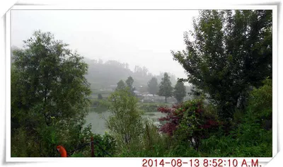 충남 아산 월선낚시터 8월 13일자 조황정보