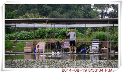 충남 아산 월선낚시터 8월 19일자 조황정보