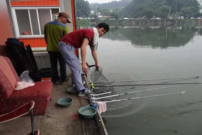 각평지 조황정보