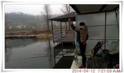 충남 아산 월선낚시터 4월 12일자 조황정보