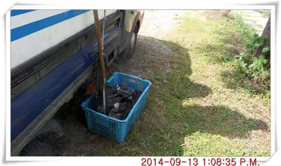 충남 아산 월선낚시터 9월 13일 조황정보