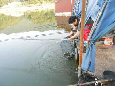 *****실시간 조황사진*****