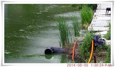 충남 아산 월선낚시터 6월 5일자 조황정보