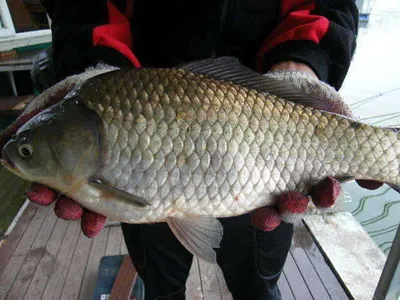 자갈섬낚시터입니다