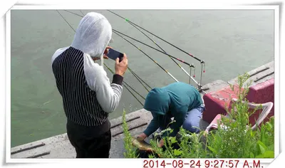 충남 아산 월선낚시터 8월 24일자 조황정보