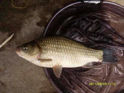 영~ 폼이안 나네 ^^..