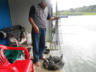 *****실시간 조황올립니다*****