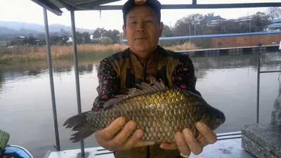 만추의 정취가 물씬한 11월 첫주말조황