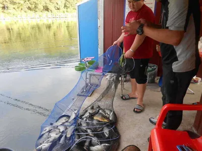 *****실시간 조황사진*****