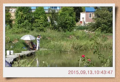 충남 아산 월선낚시터 9월 13일자 조황정보