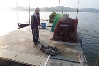 신록이 싱그러운 오월 두번째주말 오목지 조황