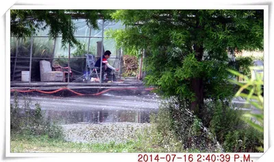 충남 아산 월선낚시터 7월 16일자 조황정보