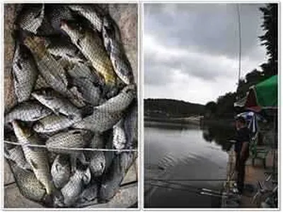 [각평지] 7월 첫째주일 조황정보