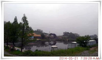 충남 아산 월선낚시터 5월 21일자 조황정보