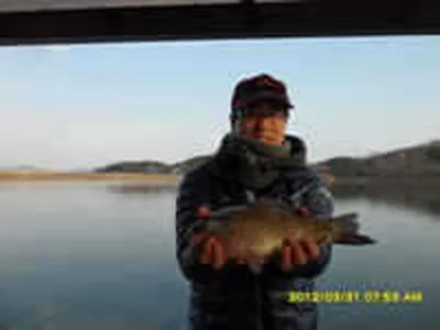 [황청지]황청지표 월척사진~