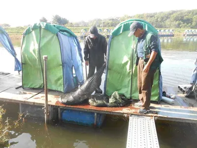 *****실시간 조황사진*****