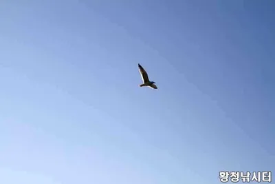 [황청낚시터]3월12일 조황정보