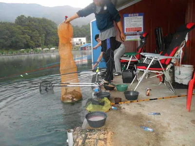 *****실시간 조황사진*****