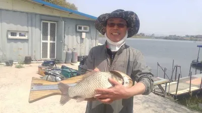 아산 신창 오목지 빵빵한 조황~~~