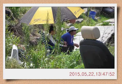 충남 아산 월선낚시터 5월 22일자 스케치