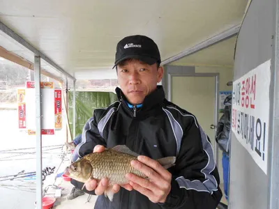 당진 "가교리지" 토종 큰 붕어 조황정보...