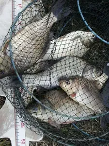 안성죽산장계지