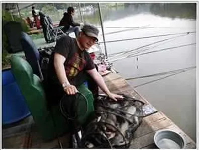 [각평지] 5월 25일 산란이 끝난 붕어들의 습격(대박조황)