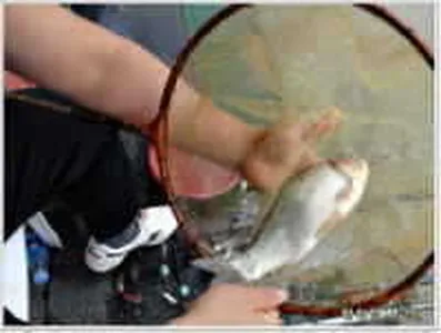 황청도 이제 만수위가 되었네요..