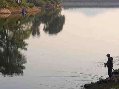 안성죽산장계지