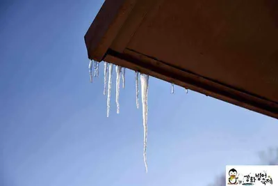 [황청지] 강화빙어축제 12월12일 소식