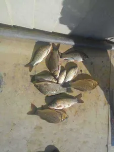 충남 공주 행복낚시터(요룡저수지)!!!!!