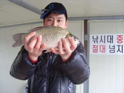 [당진 가교리지] 날씨가 추워졌네요..