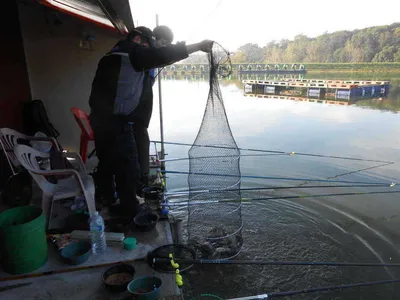 ****주말 조황과 송어 루어 플라이낚시 공지*****