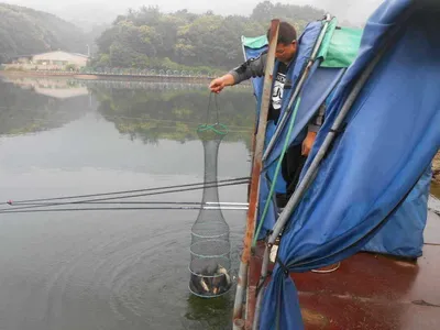 *****실시간 조황사진 올려봅니다*****