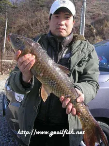 춘풍 유감(春風 遺憾)