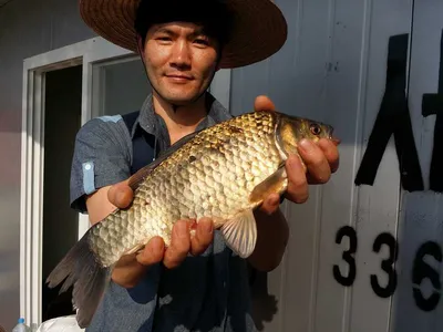 종전지서울좌대5월23일조황