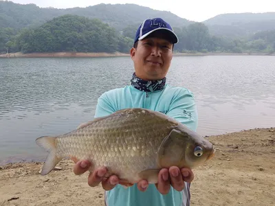 아름다운장계지에서