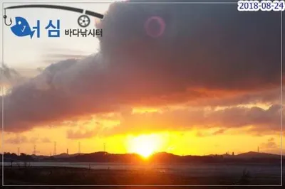 8월24일 어심바다낚시터조황