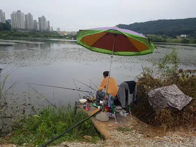 아산 월랑낚시터 9월 둘째주 주말조황 소식입니당~~~^^