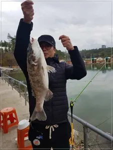 11월01일 어심바다낚시터조황