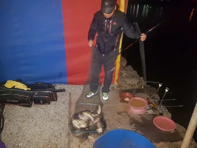 11  월  23   일  경기도 안성 거청낚시터 붕어조황