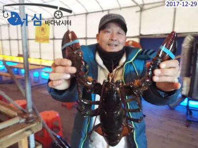 12월29일어심바다낚시터조황