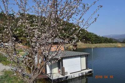 용담지풍경과조황